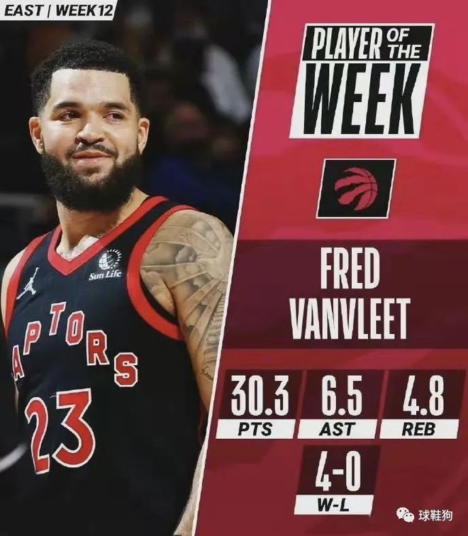 数据显示 数据显示