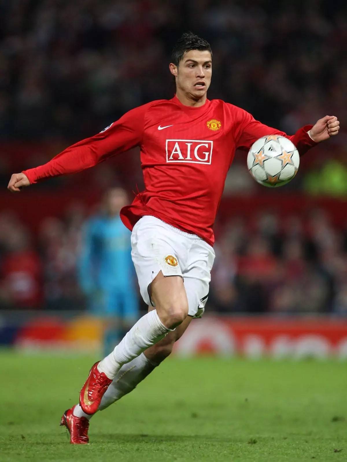 体的广泛关 体的广泛关